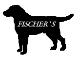 Homepage - Fischers Dog Shop